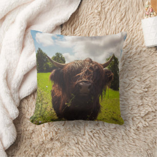 Coussin Vache noire pâturage vert champ soleil
