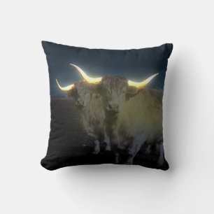 Coussin Vaches Highland Qui Jaillissent Dans L'Ombre, Cous