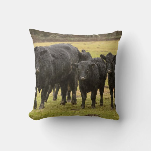 Coussin Vaches sous la pluie (Recto)