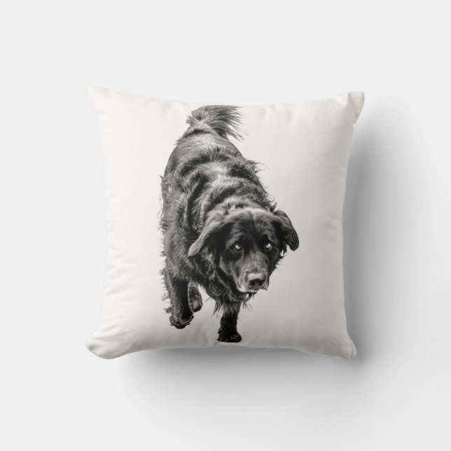 Coussin Veille nocturne d'octobre (Recto)