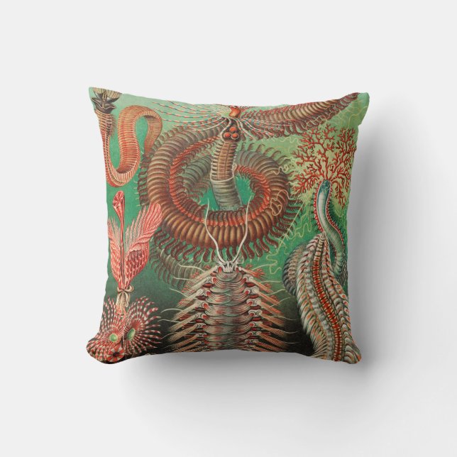 Coussin Vers, Annelids Chaetopoda par Ernst Haeckel (Recto)
