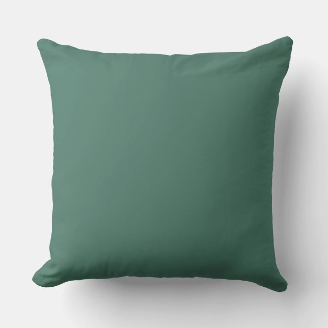 Coussin vert (Recto)