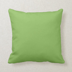 Coussin Vert chou solide
