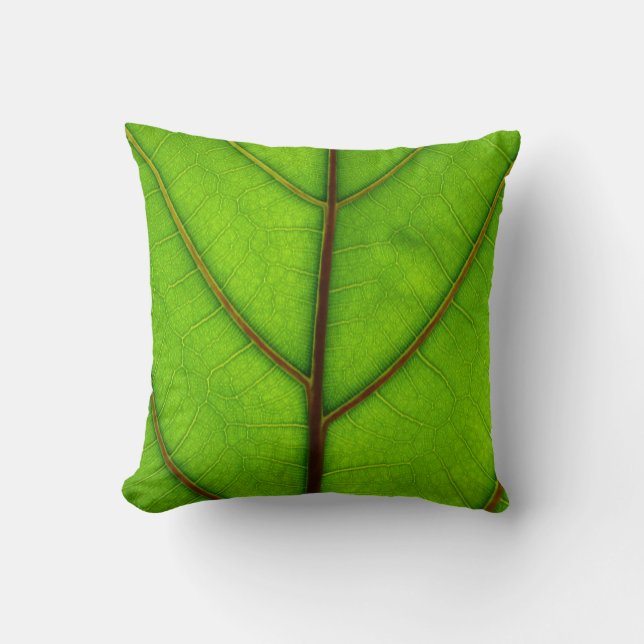 Coussin vert de feuille (Recto)