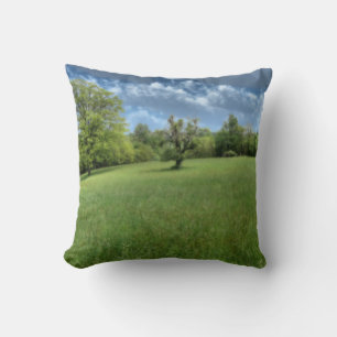 Coussin vert des Appalaches