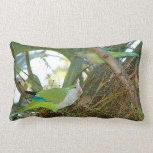 Coussin vert d'oiseaux de perroquet de quaker