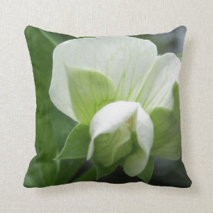 Coussin vert et blanc ~ photo haute résolution or