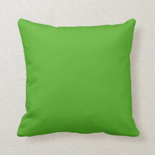 Coussin Vert grenouille solide
