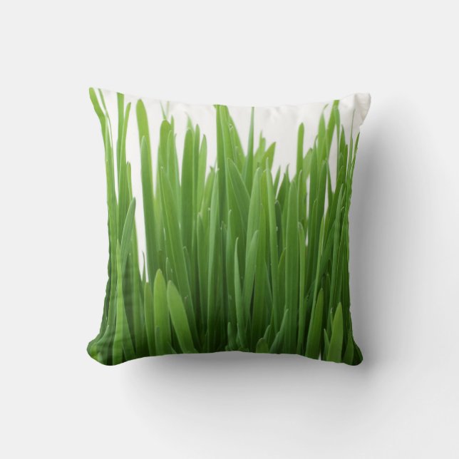Coussin Vert herbe (Recto)