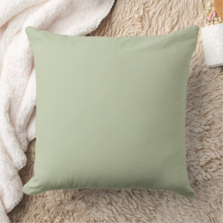 Coussin Vert sauge pâle uni