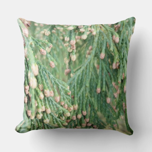 Coussin VertLumière (Recto)