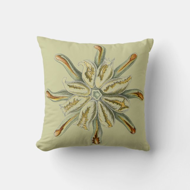 Coussin Vie marine de cru de Haeckel (Recto)