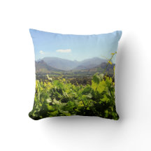 Vignobles dans Franschhoek, Afrique du Sud