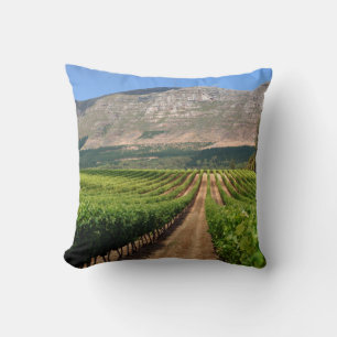 Coussin Vignobles du domaine viticole Groot Constantia