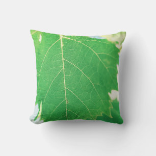 Coussin Vine verte Feuille bleue Ciel Ciel Ciel Focus Cous