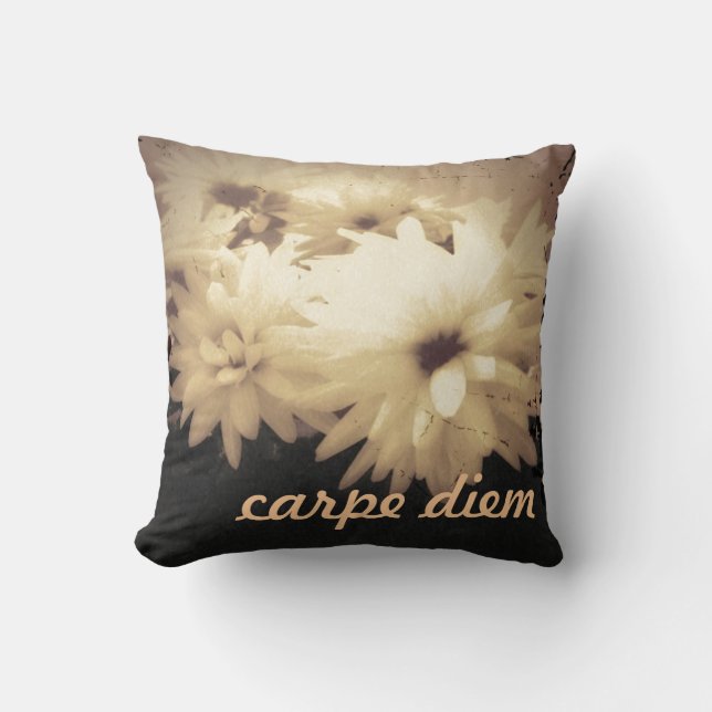 Coussin vintage de Carpe Diem (Recto)