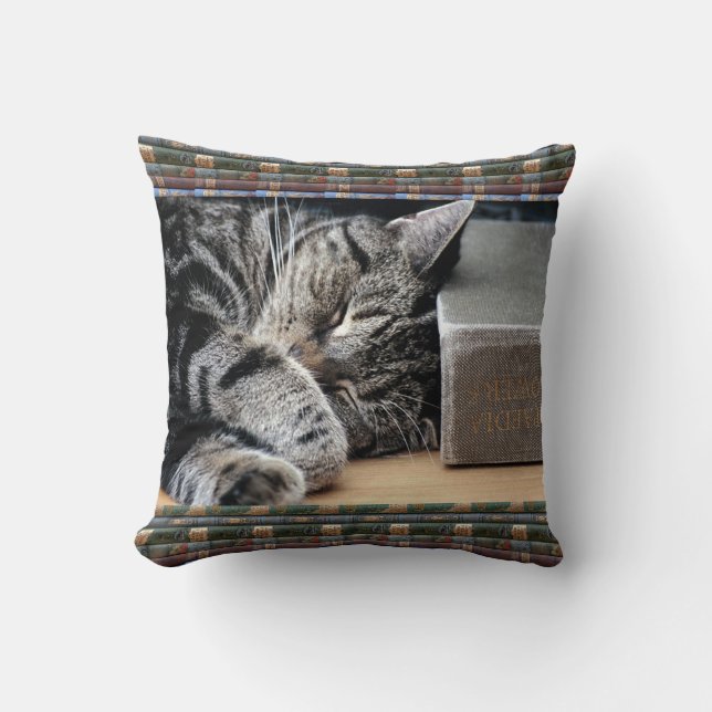 Coussin vintage de chat de sommeil d'amoureux des (Recto)