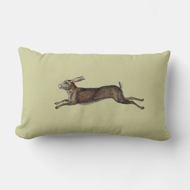 Coussin vintage de lapin (Recto)