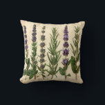 Coussin Vintage Herb Pillow - Botanical Rosemary Lavender<br><div class="desc">Bring vintage charm with this botanical herb illustration! Features rosemary, thyme, lavender, and sage in antique scientific drawing style with muted green, beige, and brown tones. 🌿 **Perfect for:** • Vintage and farmhouse decor • Kitchen and dining room • Herbalist and gardener gifts • Classic home aesthetics 🎁 **Gift Idea:**...</div>