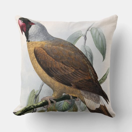 Coussin Vintage John Keulemans Mascarene Parrot (Recto)