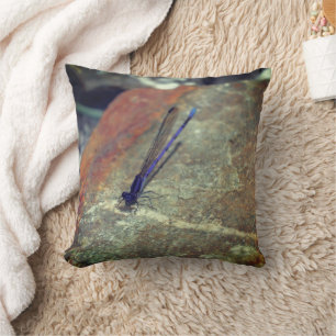 Coussin Violet Damselfly Poser sur Rock haut