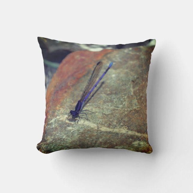 Coussin Violet Damselfly Poser sur Rock haut (Recto)