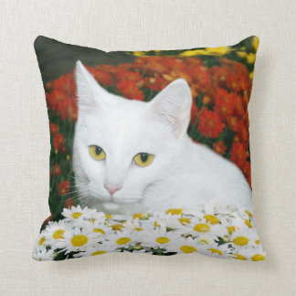 Coussin Visage blanc de chat