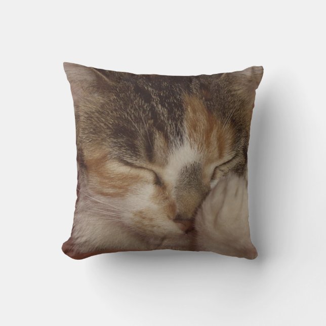 Coussin Visage brouillé (Recto)