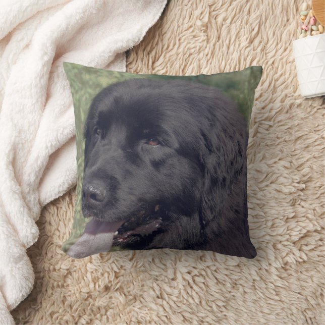 Coussin Visage de chien Terre-Neuve noir (Couverture)