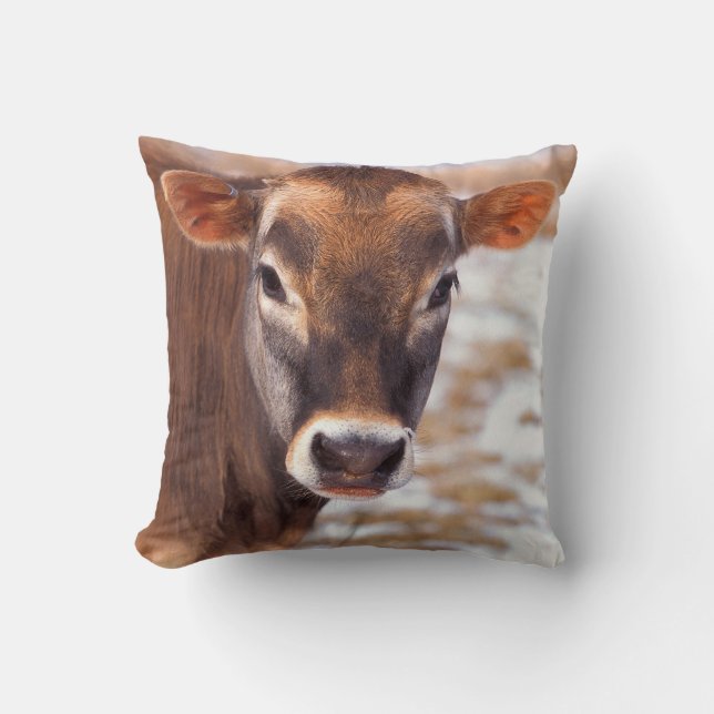 Coussin Visage de veau de vache (Recto)