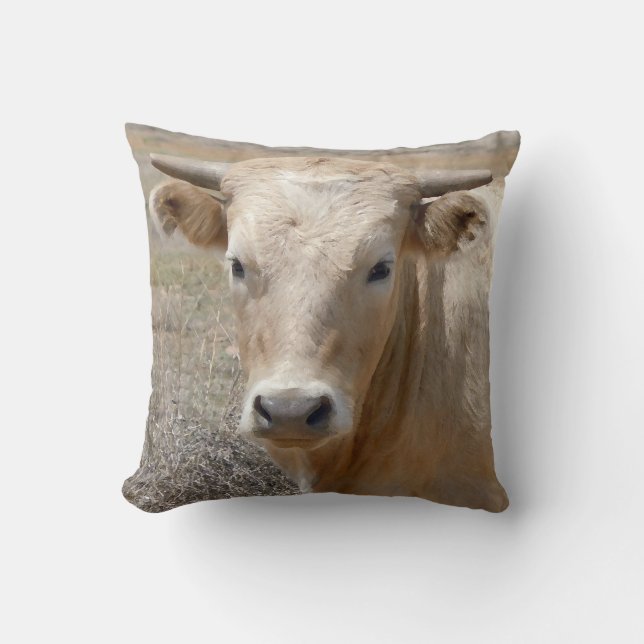 Coussin Visage occidental mignon de vache du charolais (Recto)