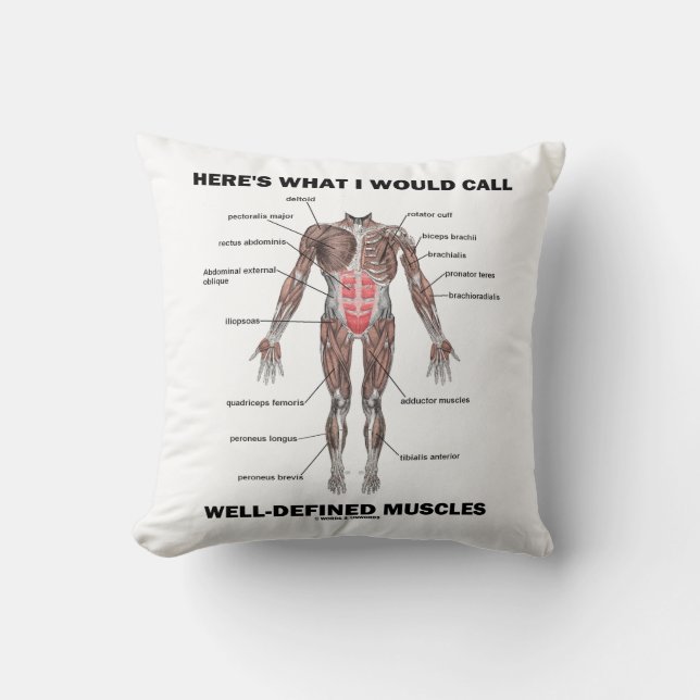 Coussin Voici ce que j'appellerais les muscles bien (Recto)