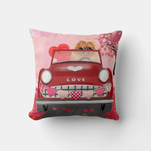 Coussin Voiture avec chien Pomeranian et coeurs pour la Sa
