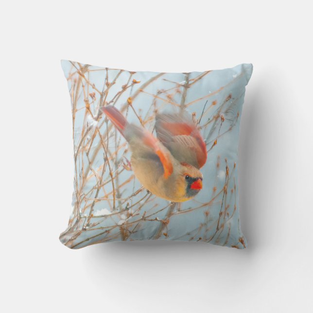 Coussin Vol Cardinal Nord - Photo originale (Recto)