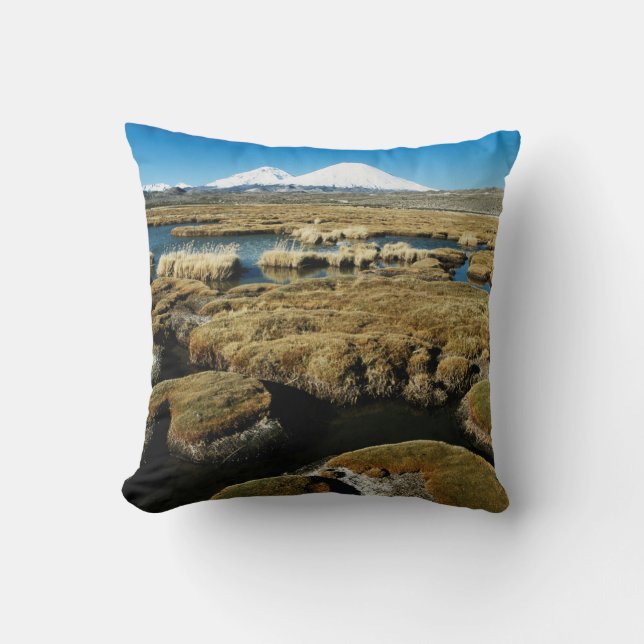 Coussin Volcan de Payachalas (Recto)
