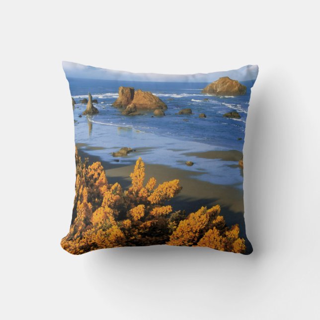 Coussin Vue de la plage de l'Oregon à Bandon (Recto)