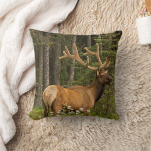 Coussin Wapiti mâle en velours, Canada