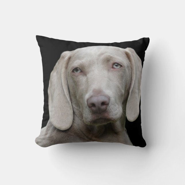 Coussin Weimaraner Silver Grey (Recto)