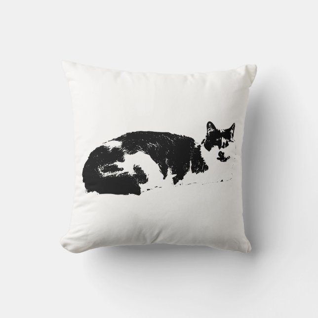 Coussin Whiskers en reposes (Recto)
