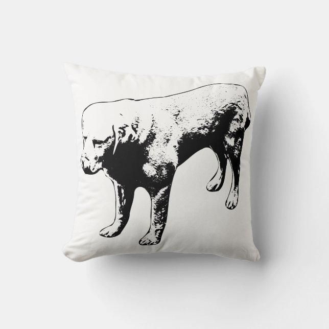 Coussin Whiskers & Wit (Recto)