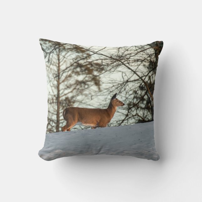 Coussin White Tailed (Recto)