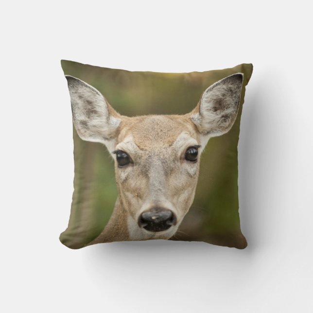 Coussin White Tailed (Recto)