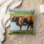 Coussin Wicken Fen cattle (Couverture)