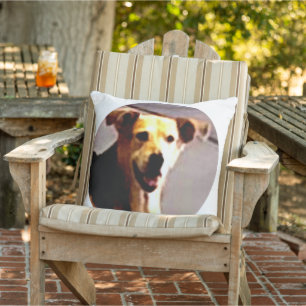 Coussin Woofs N' Wags