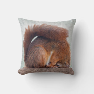 Coussin Yoga Écureuil