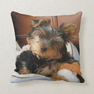 Coussin Yorkie à la personnalité débordante