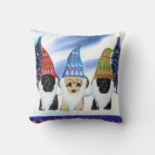 COUSSIN YORKIE POO