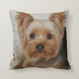 Coussin Yorkshire Terrier