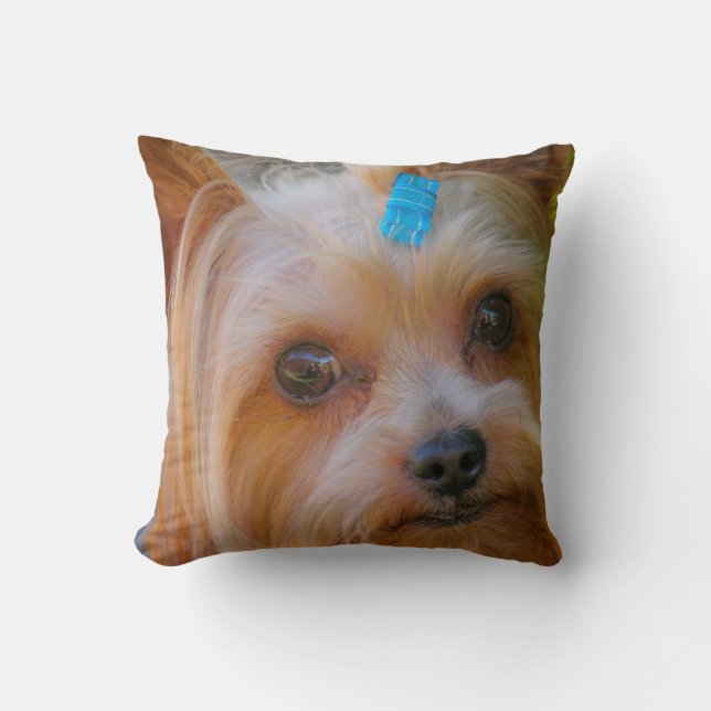 Coussin Yorkshire Terrier Yorkie race préférée (Recto)