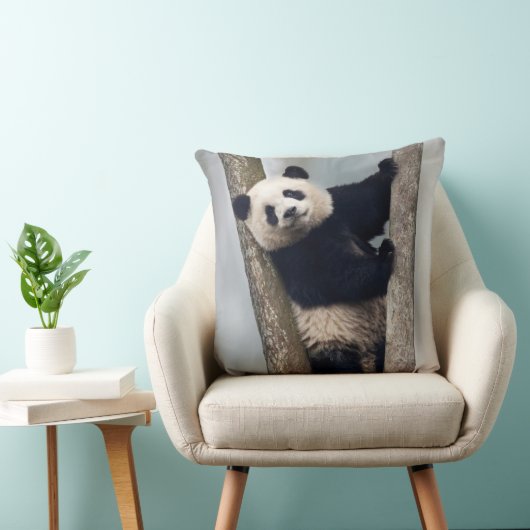 Coussin Young Panda climbing a tree, Chine (Chaise)